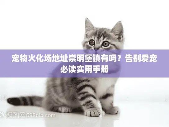 宠物火化场地址崇明堡镇有吗？告别爱宠必读实用手册