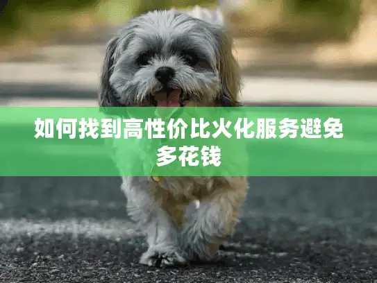 如何找到高性价比火化服务避免多花钱