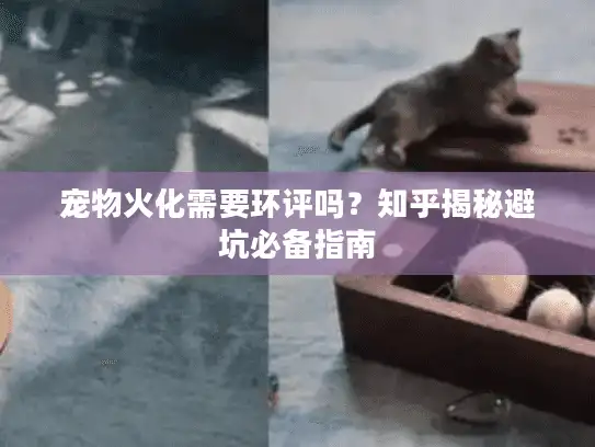 宠物火化需要环评吗？知乎揭秘避坑必备指南