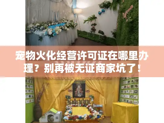 宠物火化经营许可证在哪里办理？别再被无证商家坑了！