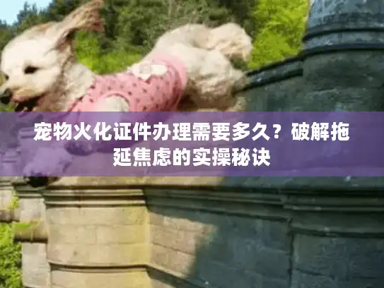 宠物火化证件办理需要多久？破解拖延焦虑的实操秘诀