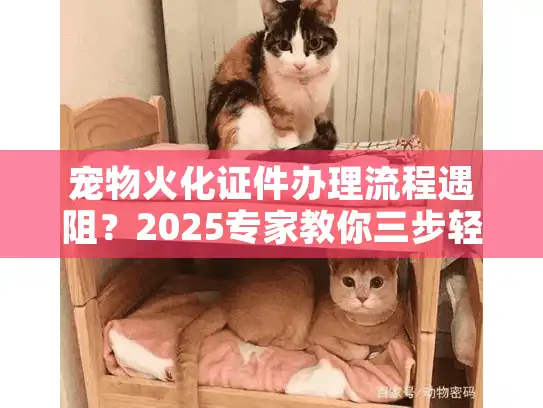 宠物火化证件办理流程遇阻？2025专家教你三步轻松通关