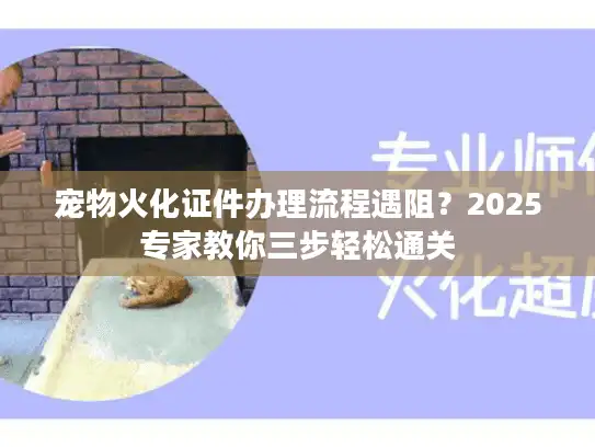 宠物火化证件办理流程遇阻？2025专家教你三步轻松通关