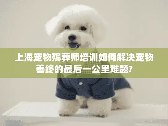 上海宠物殡葬师培训如何解决宠物善终的最后一公里难题?