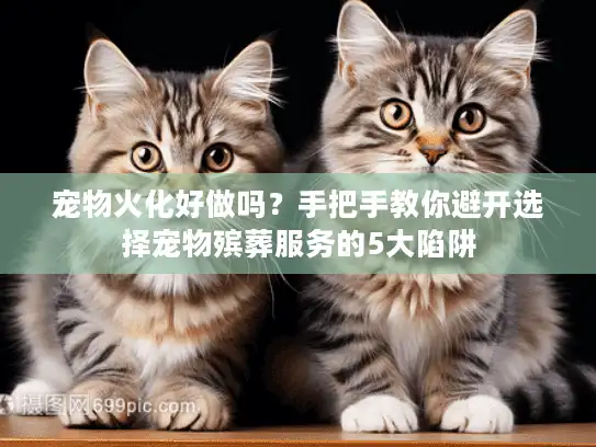 宠物火化好做吗？手把手教你避开选择宠物殡葬服务的5大陷阱