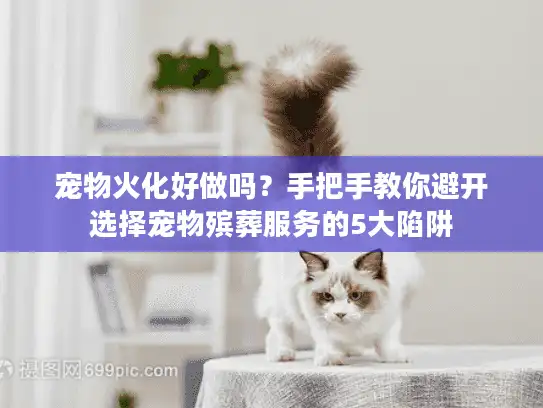 宠物火化好做吗？手把手教你避开选择宠物殡葬服务的5大陷阱