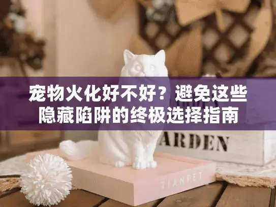 宠物火化好不好？避免这些隐藏陷阱的终极选择指南