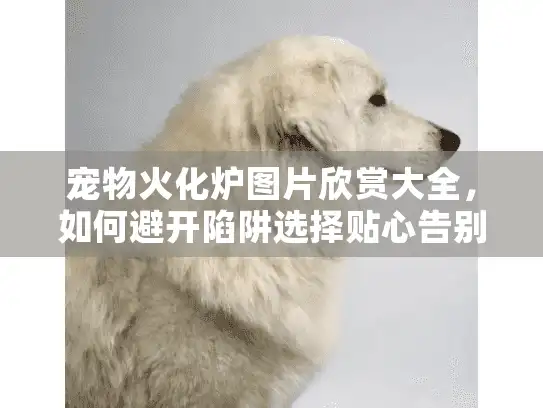 宠物火化炉图片欣赏大全，如何避开陷阱选择贴心告别？