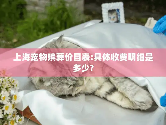 上海宠物殡葬价目表:具体收费明细是多少?