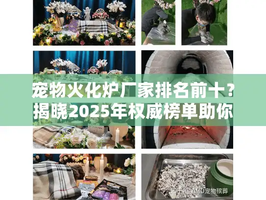 宠物火化炉厂家排名前十？揭晓2025年权威榜单助你选对服务