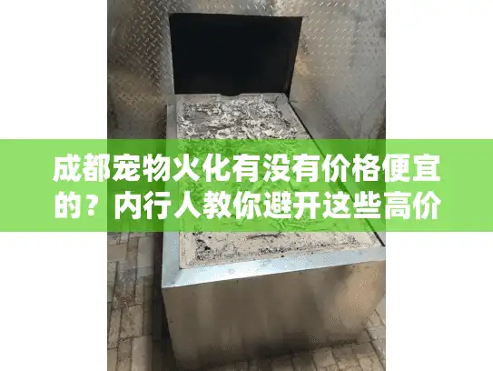 成都宠物火化有没有价格便宜的？内行人教你避开这些高价套路