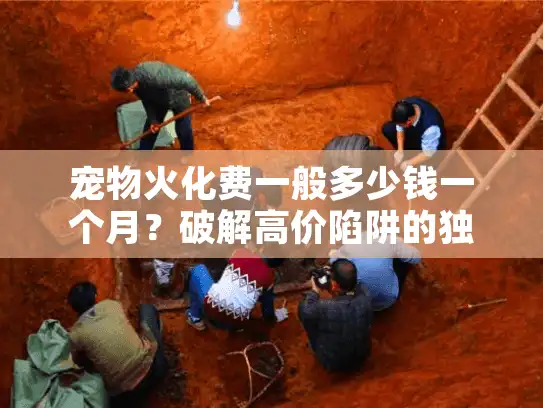 宠物火化费一般多少钱一个月？破解高价陷阱的独家秘籍