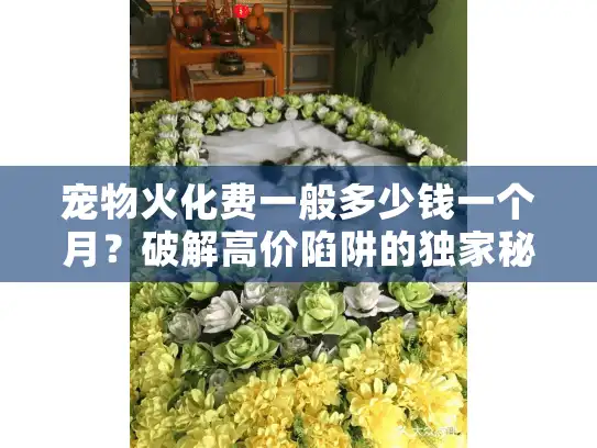 宠物火化费一般多少钱一个月？破解高价陷阱的独家秘籍