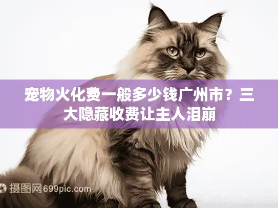 宠物火化费一般多少钱广州市？三大隐藏收费让主人泪崩