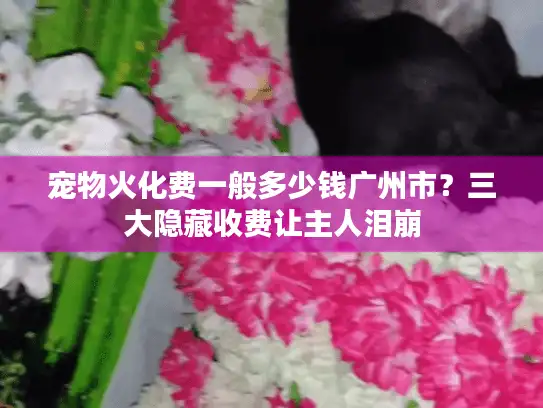 宠物火化费一般多少钱广州市？三大隐藏收费让主人泪崩