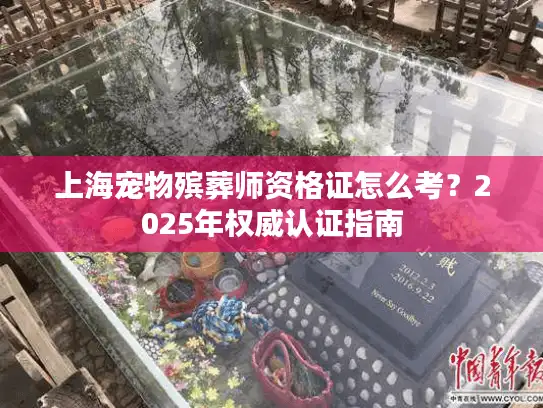 上海宠物殡葬师资格证怎么考？2025年权威认证指南