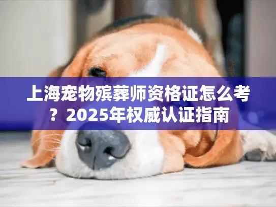 上海宠物殡葬师资格证怎么考？2025年权威认证指南