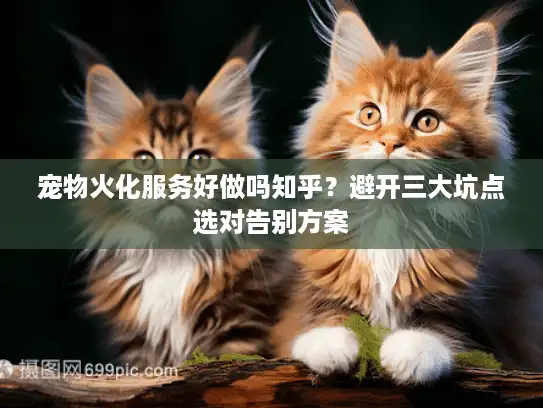 宠物火化服务好做吗知乎？避开三大坑点选对告别方案
