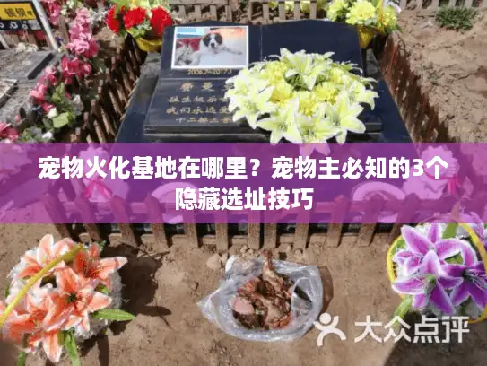 宠物火化基地在哪里？宠物主必知的3个隐藏选址技巧