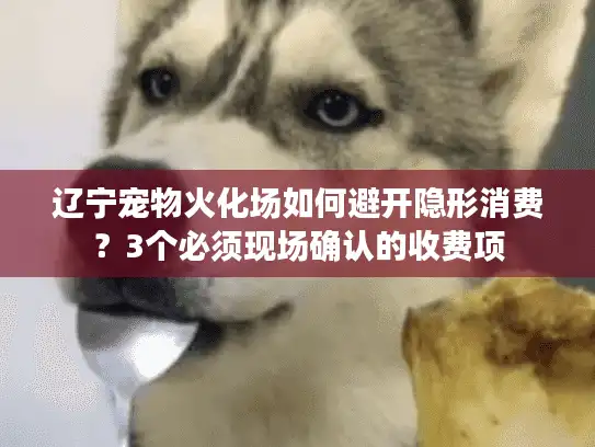 辽宁宠物火化场如何避开隐形消费？3个必须现场确认的收费项