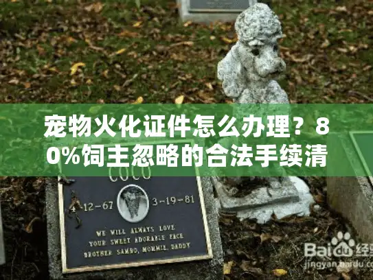 宠物火化证件怎么办理？80%饲主忽略的合法手续清单