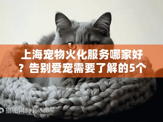 上海宠物火化服务哪家好？告别爱宠需要了解的5个关键细节