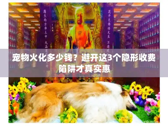 宠物火化多少钱？避开这3个隐形收费陷阱才真实惠