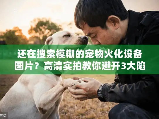 还在搜索模糊的宠物火化设备图片？高清实拍教你避开3大陷阱