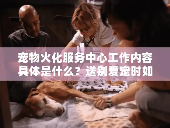 宠物火化服务中心工作内容具体是什么？送别爱宠时如何避坑？