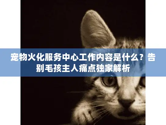 宠物火化服务中心工作内容是什么？告别毛孩主人痛点独家解析