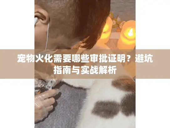 宠物火化需要哪些审批证明？避坑指南与实战解析