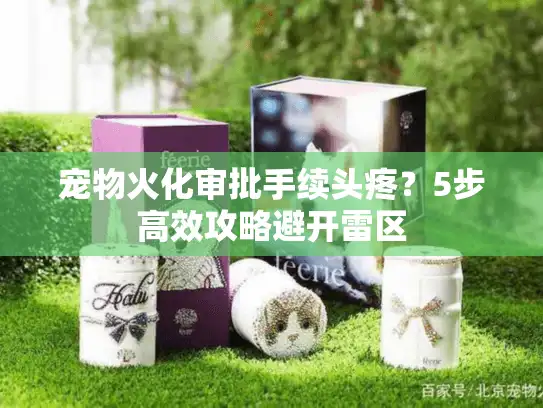宠物火化审批手续头疼？5步高效攻略避开雷区