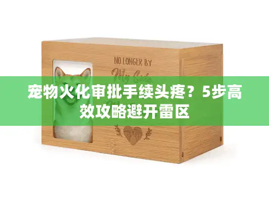 宠物火化审批手续头疼？5步高效攻略避开雷区
