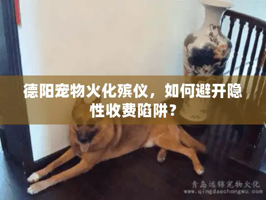 德阳宠物火化殡仪，如何避开隐性收费陷阱？