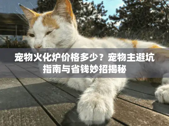 宠物火化炉价格多少？宠物主避坑指南与省钱妙招揭秘