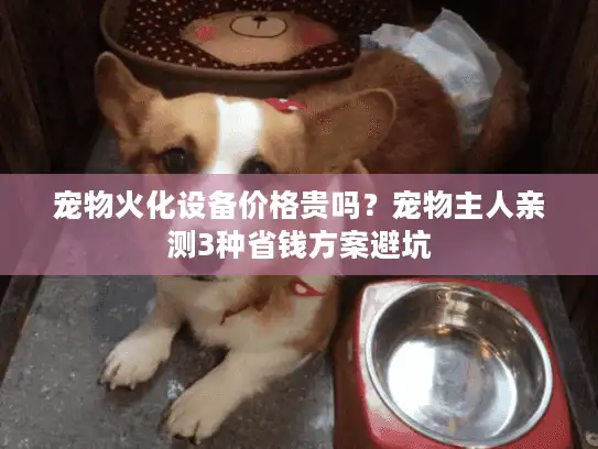 宠物火化设备价格贵吗？宠物主人亲测3种省钱方案避坑