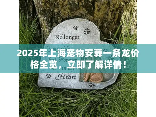 2025年上海宠物安葬一条龙价格全览，立即了解详情！