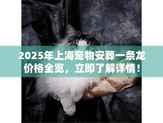 2025年上海宠物安葬一条龙价格全览，立即了解详情！