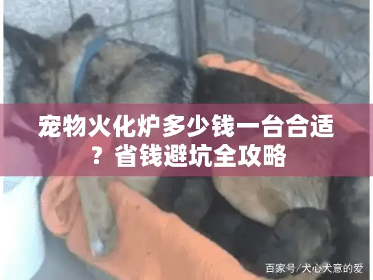 宠物火化炉多少钱一台合适？省钱避坑全攻略