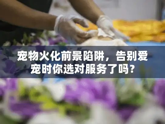宠物火化前景陷阱，告别爱宠时你选对服务了吗？