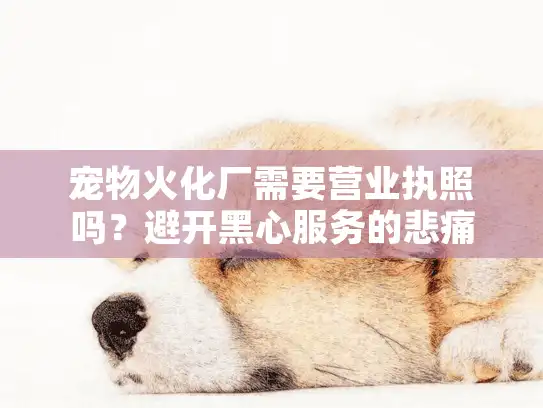 宠物火化厂需要营业执照吗？避开黑心服务的悲痛教训
