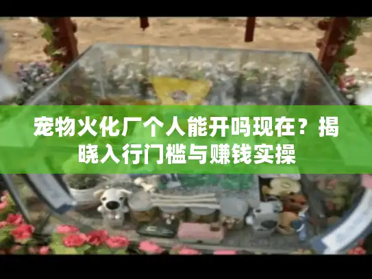 宠物火化厂个人能开吗现在？揭晓入行门槛与赚钱实操