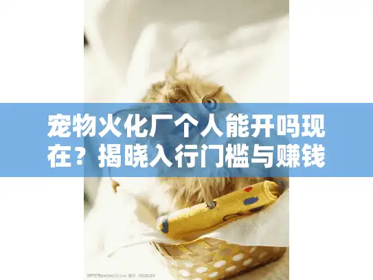 宠物火化厂个人能开吗现在？揭晓入行门槛与赚钱实操
