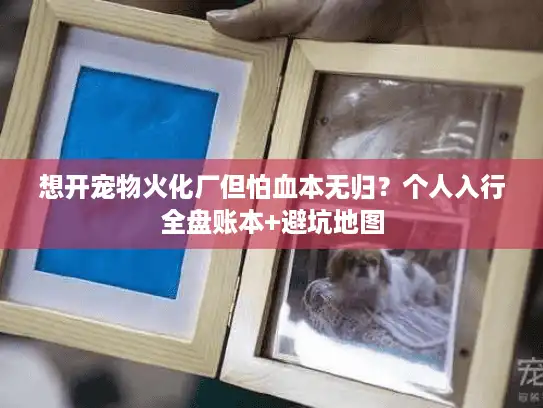 想开宠物火化厂但怕血本无归？个人入行全盘账本+避坑地图
