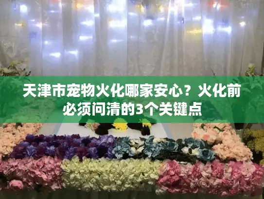 天津市宠物火化哪家安心？火化前必须问清的3个关键点