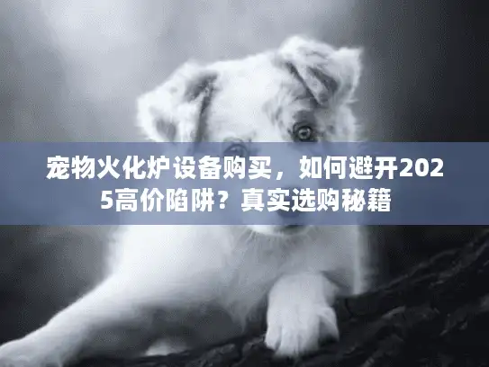 宠物火化炉设备购买，如何避开2025高价陷阱？真实选购秘籍