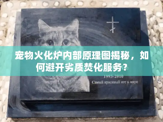 宠物火化炉内部原理图揭秘，如何避开劣质焚化服务？