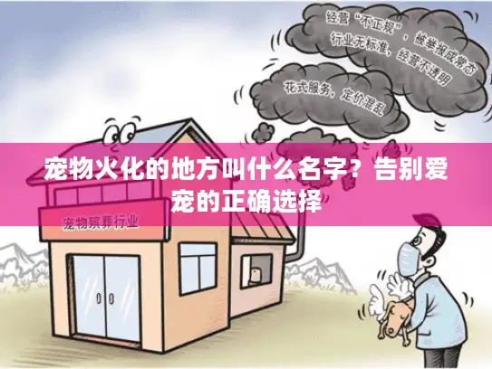 宠物火化的地方叫什么名字？告别爱宠的正确选择