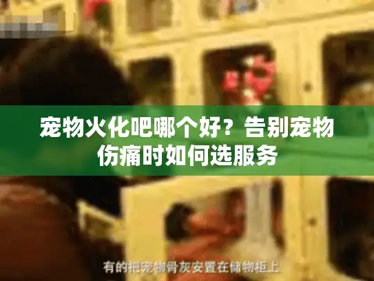 宠物火化吧哪个好？告别宠物伤痛时如何选服务