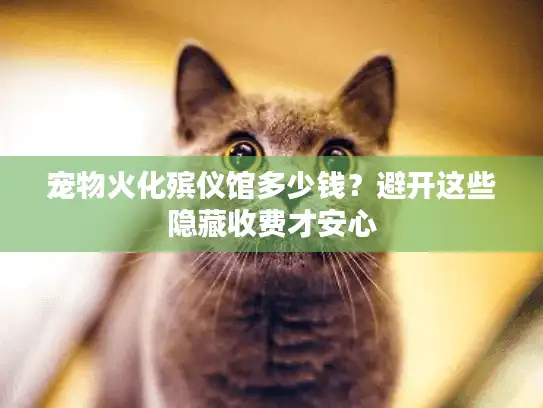 宠物火化殡仪馆多少钱？避开这些隐藏收费才安心